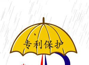 专利的国际保护如何实现，例如国际专利申请？