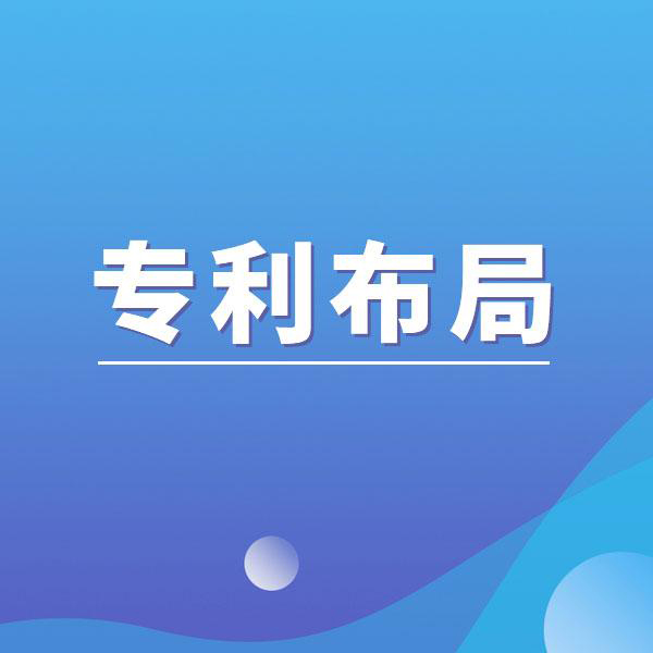 如何制定有效的专利战略，以维护市场竞争优势?